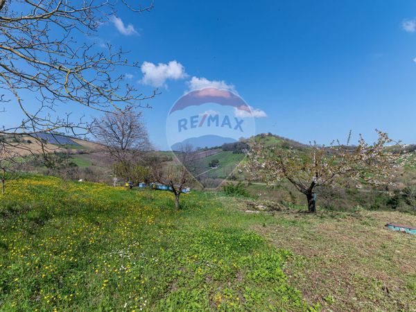 Casa Indipendente Pozzetto, Castelplanio, AN Vendita - Foto 2