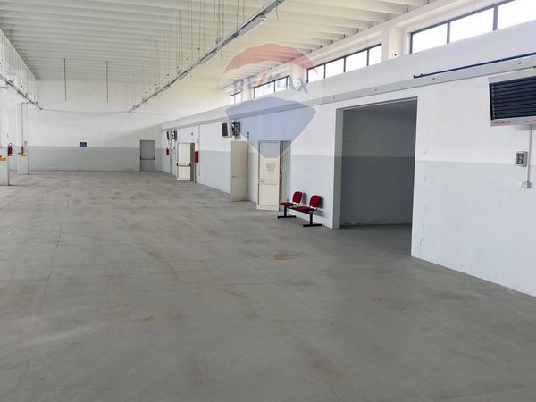 Capannone Industriale Tuglie, LE Vendita - Foto 4