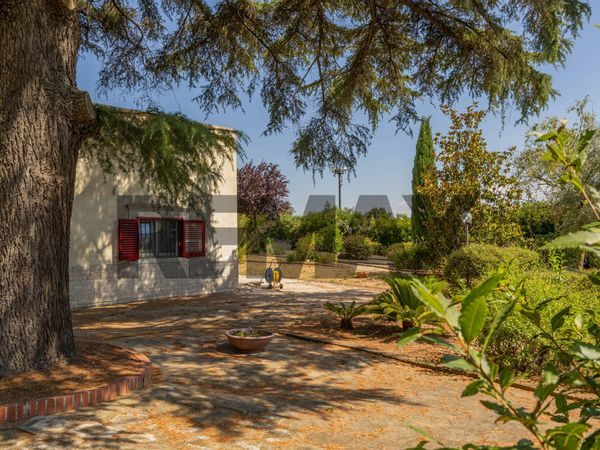 Baita/Chalet/Trullo Martina Franca, TA Vendita - Foto 4