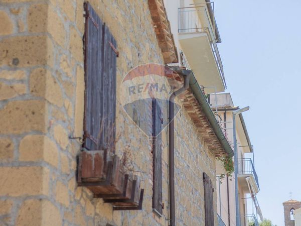 Casa Indipendente Farnese, VT Vendita - Foto 4