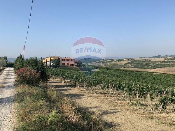 Casa Semindipendente San Zio, Cerreto Guidi, FI Vendita - Foto 4