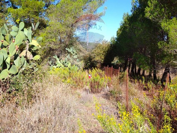 Rustico Vizzini, CT Vendita - Foto 3