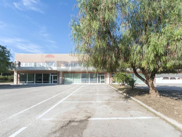 Commerciale Altro Città Sant'Angelo, PE Affitto - Foto 4