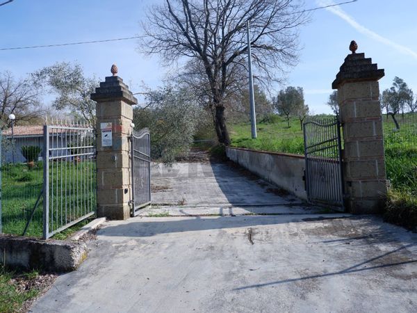 Terreno Ruviano, CE Vendita