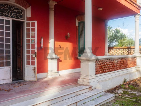 Cascina/Casale Navacchio, Cascina, PI Vendita - Foto 4