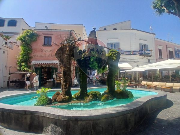 Appartamento Isola D'ischia - Forio D'ischia, Forio, NA Vendita - Foto 3