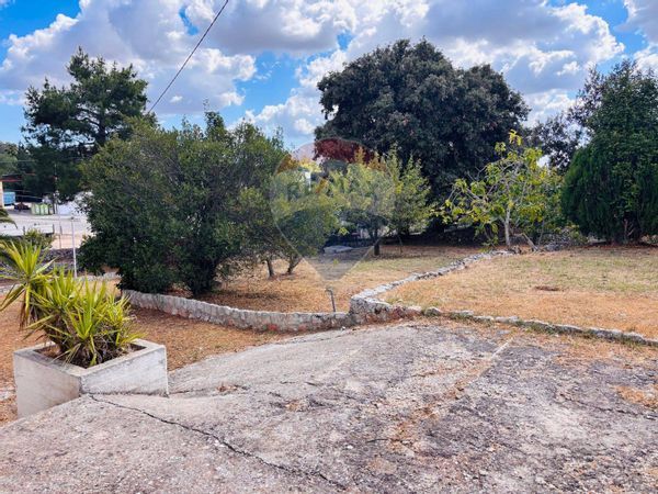 Villa o villino Putignano, BA Vendita - Foto 3