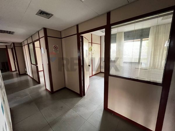 Ufficio S. Pasquale, Bari, BA Affitto - Foto 3