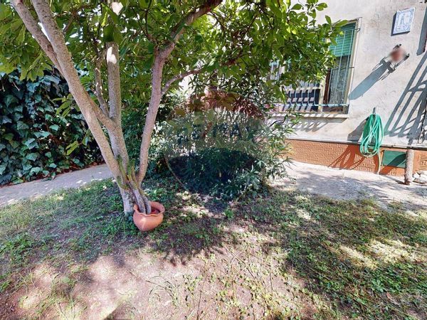 Casa Indipendente Ambrogio, Copparo, FE Vendita - Foto 3