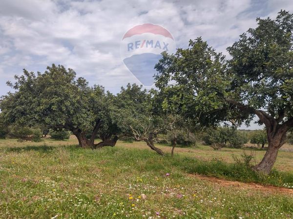 Cascina/Casale Ispica, RG Vendita - Foto 4