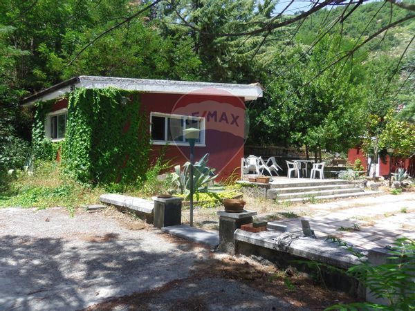 Ristorante Cautano, BN Affitto - Foto 4