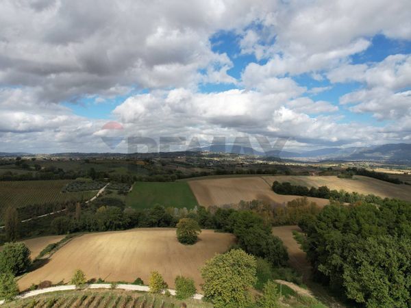 Azienda Agricola Torregrosso, Castel Ritaldi, PG Vendita - Foto 2