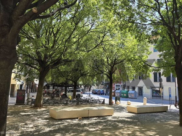 Appartamento Borgo Trento, Brescia, BS Vendita - Foto 4