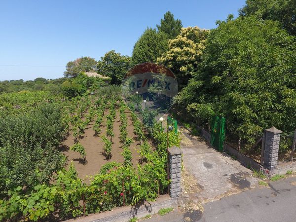 Baita/Chalet/Trullo Santa Maria di Licodia, CT Vendita - Foto 2