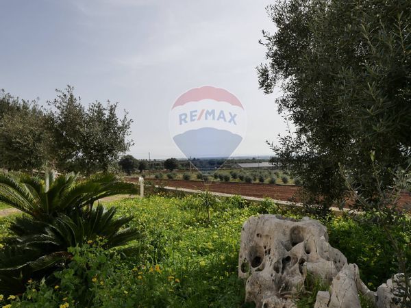 Cascina/Casale Monopoli, BA Vendita - Foto 4