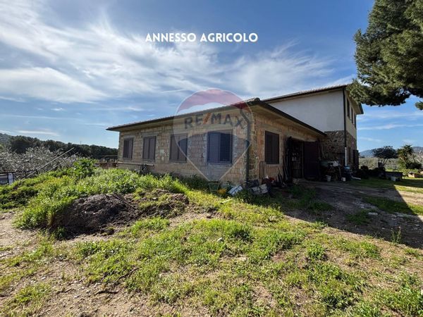 Casa Indipendente Suvereto, LI Vendita - Foto 4