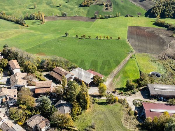 Azienda Agricola Mozzano, Neviano degli Arduini, PR Vendita