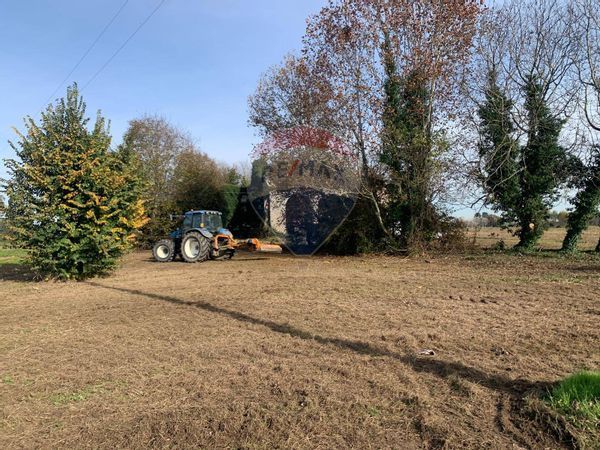 Rustico Mestrino, PD Vendita - Foto 3