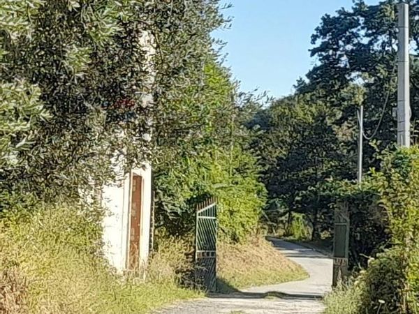 Appartamento Nazzano, RM Vendita - Foto 3