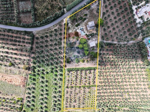 Altro Rodi Garganico, FG Vendita - Foto 4