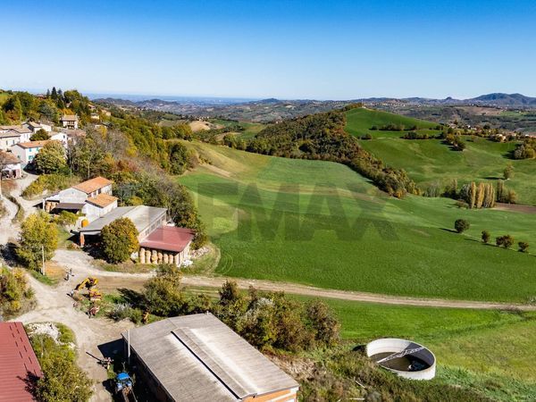 Azienda Agricola Mozzano, Neviano degli Arduini, PR Vendita - Foto 3