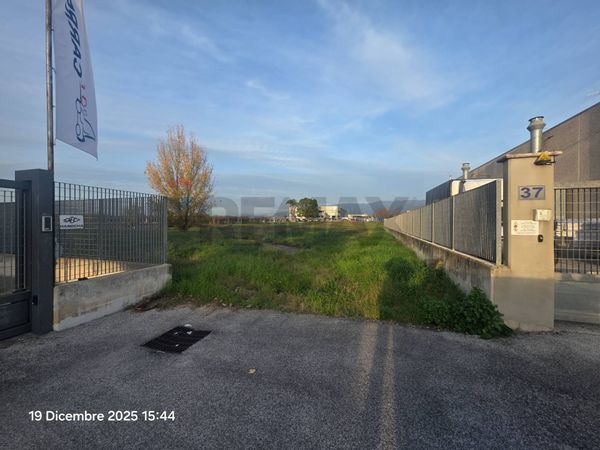 Terreno Industriale Borgo Flora, Cisterna di Latina, LT Vendita - Foto 4