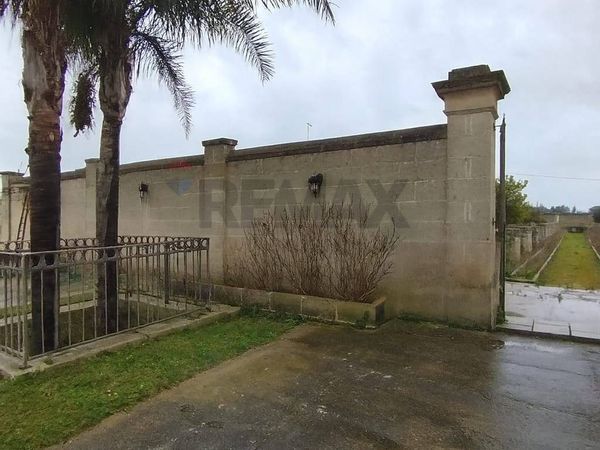 Casa Indipendente Novoli, LE Vendita - Foto 3