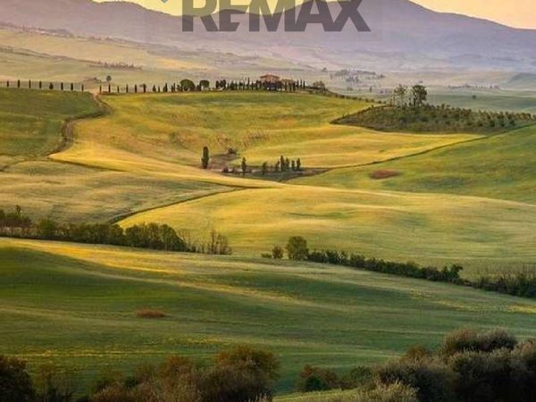 Cascina/Casale Torrita di Siena, SI Vendita - Foto 2