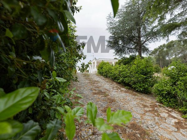 Casa Indipendente Martina Franca, TA Vendita - Foto 3