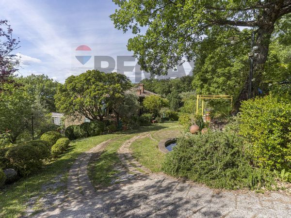 Villa singola Paciano, PG Vendita - Foto 2