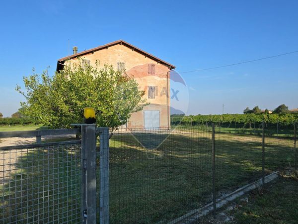 Cascina/Casale Gruppo, Carpi, MO Vendita - Foto 4