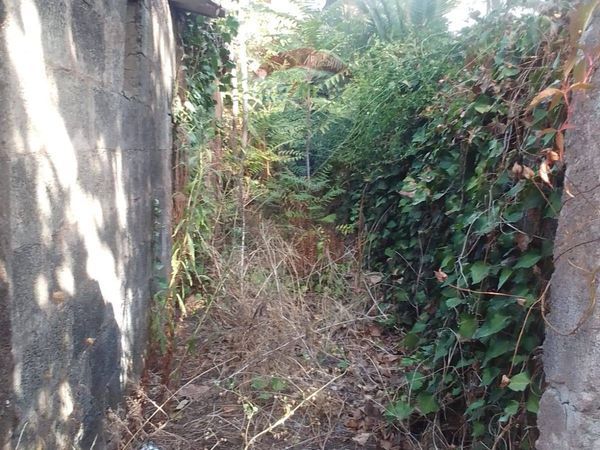 Casa Indipendente San Gregorio di Catania, CT Vendita - Foto 3