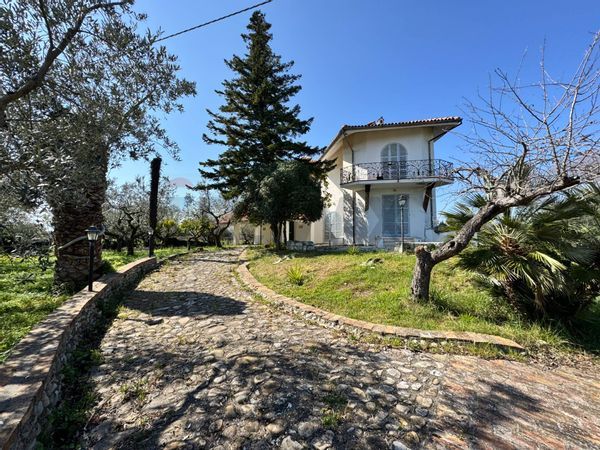 Villa singola Casalbordino, CH Vendita - Foto 4