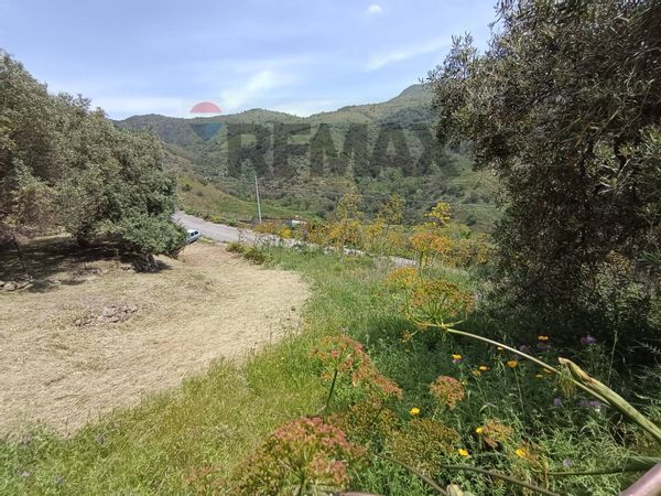 Rustico Graniti, ME Vendita - Foto 4