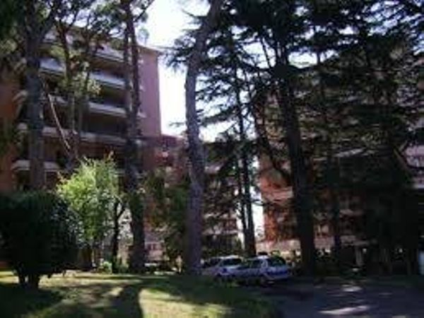 Stanza Giustiniana, Roma, RM Affitto - Foto 4