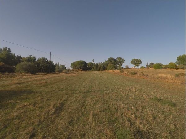 Terreno Edificabile Caltagirone, CT Vendita - Foto 3