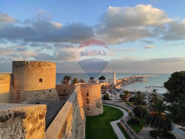 Locale Commerciale Manfredonia, FG Affitto - Foto 2