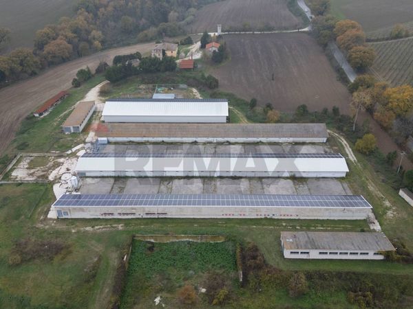 Capannone Industriale Arcevia, AN Vendita - Foto 3