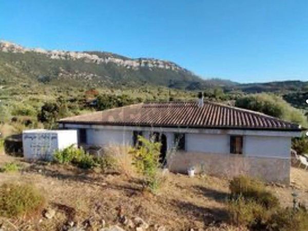 Casa Indipendente Dorgali, NU Vendita - Foto 4