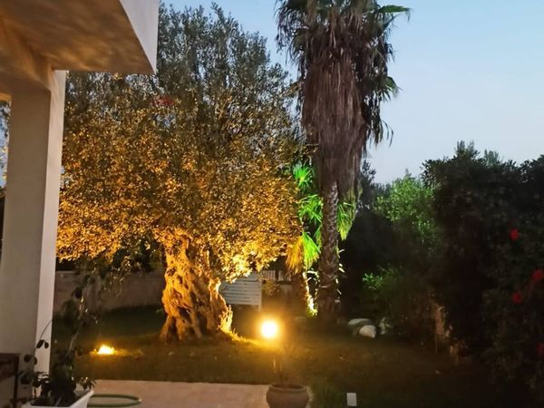 Villa singola San Lorenzo, Noto, SR Vendita - Foto 2