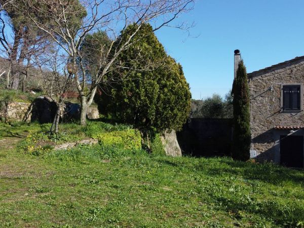 Casa Semindipendente Vitolini, Vinci, FI Vendita - Foto 2