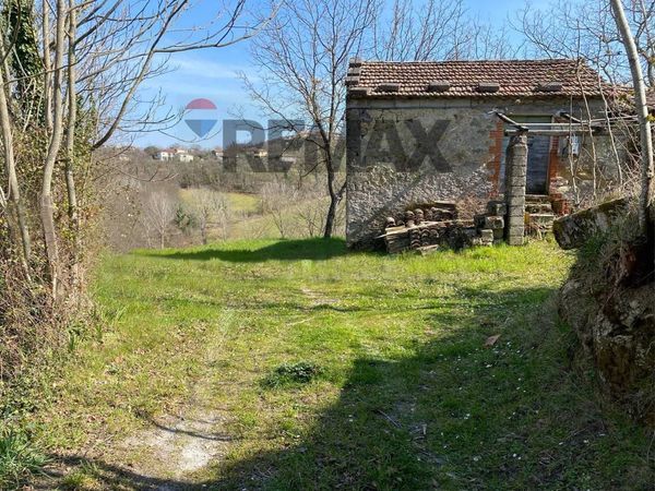 Cascina/Casale Strangolagalli, FR Vendita - Foto 3