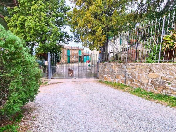 Cascina/Casale Sant'Amato, Vinci, FI Vendita - Foto 2