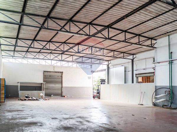 Capannone Industriale Policoro, MT Vendita - Foto 4