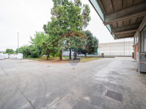 Capannone Industriale Roncadello, Casalmaggiore, CR Vendita - Foto 3