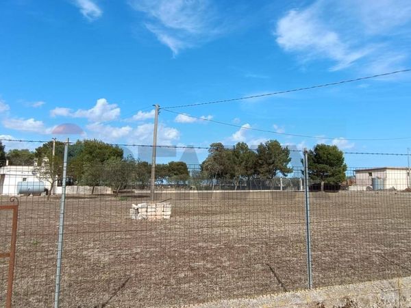 Terreno San Giovanni Rotondo, FG Vendita - Foto 3