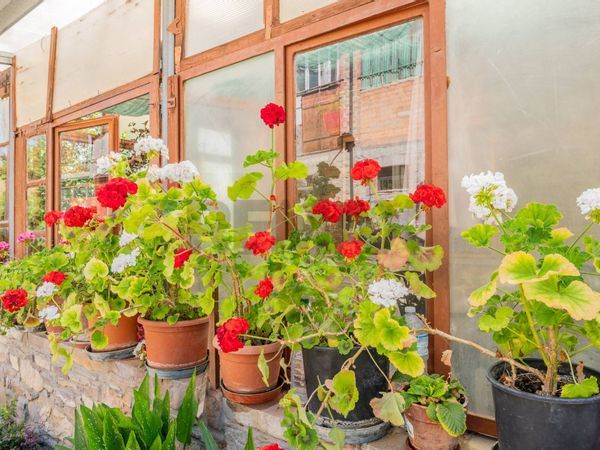 Porzione di casa Lagrimone, Tizzano Val Parma, PR Vendita - Foto 4