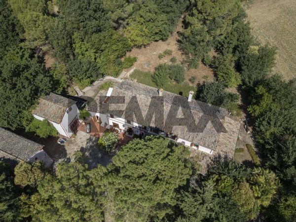 Casa Indipendente Nevola, Corinaldo, AN Vendita - Foto 4