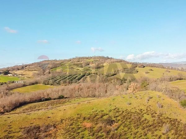 Terreno Poggio Murella, Manciano, GR Vendita - Foto 3