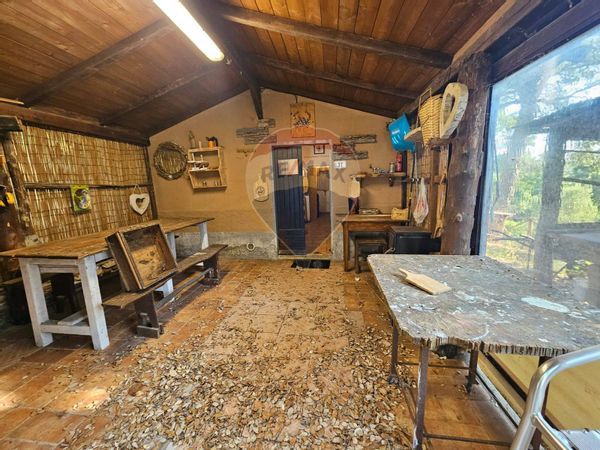 Rustico Sassetta, LI Vendita - Foto 2